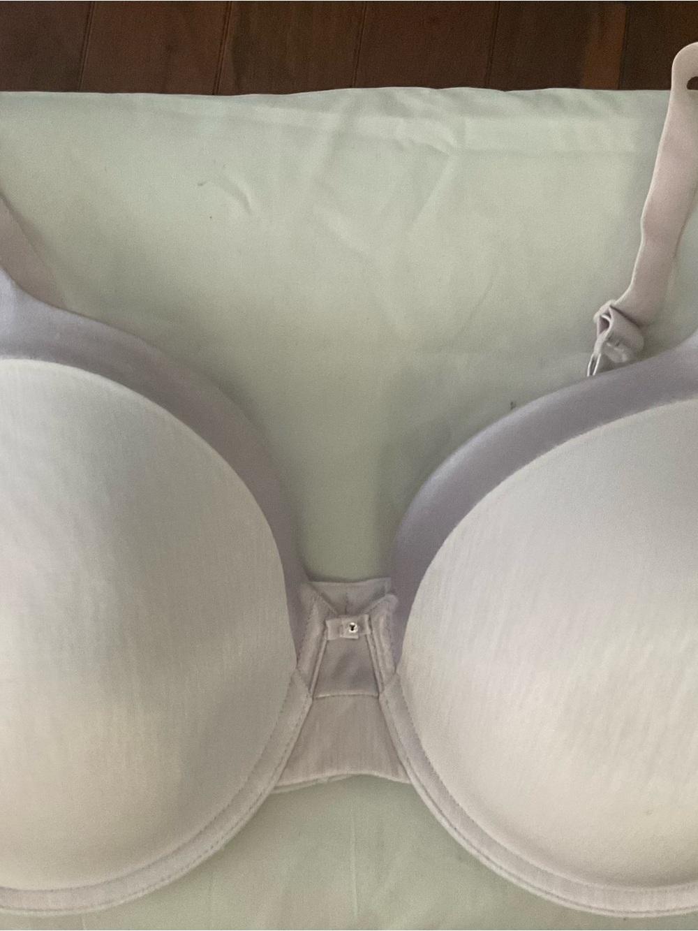 Vanity Fair Light Lavender Smooth Bra plus sized